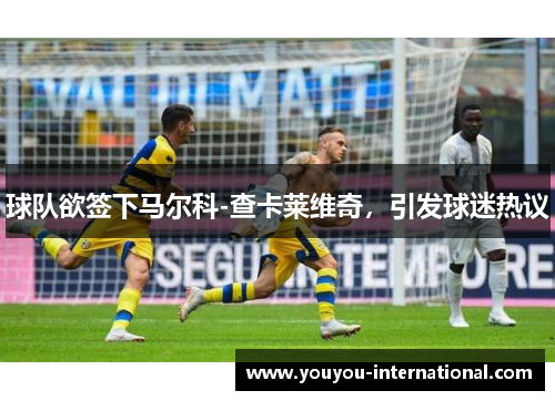 球队欲签下马尔科-查卡莱维奇，引发球迷热议